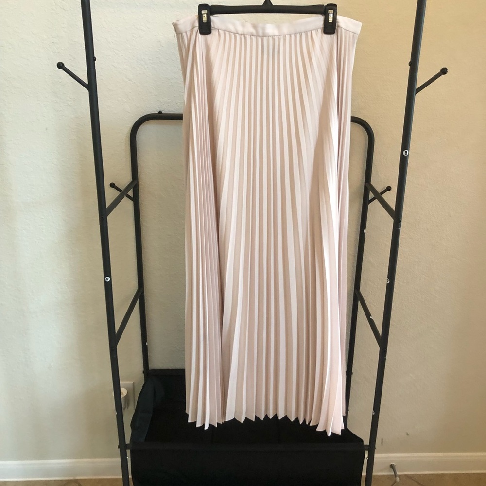 Banana Republic Blush Pleated Maxi Skirt